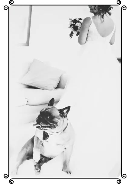Un cane e due persone